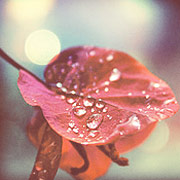 电话轰炸机官网